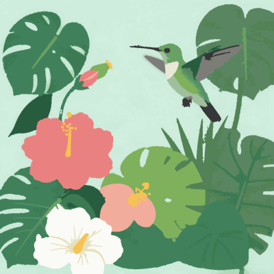 Hummingbird Garden paint-by-number coloring picture